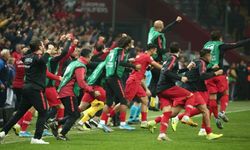 Türkiye, EURO 2020'ye Gitmeye Hak Kazandı