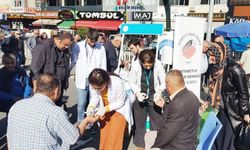 Rize'de 'Dünya Diyabet Günü' Etkinlikleri