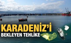 Karadeniz'de Kıyı Balıkçılığı Tehdit Altında  