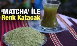 Çaykur 'Matcha' Çayı ile Yiyeceklere Renk Katacak