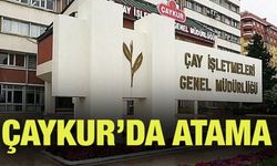 Güler Şube Müdürlüğüne Atandı