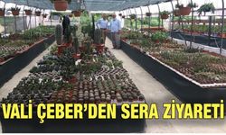 Vali Çeber Çiftekavak Seralarını Ziyaret Etti