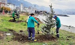 270 Adet Ladin Fidanı Toprakla Buluştu