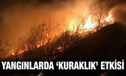 Karadeniz'deki Orman Yangınlarında 'Kuraklık' Etkisi