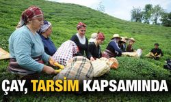 Çay, TARSİM Kapsamına Alındı