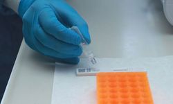 Rize'de Koronavirüs Testi Nerede Yapılıyor?