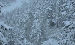 Zigana Dağı'nda Kar Yağışı Etkili Oldu