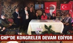 CHP Ardeşen Kadın Kolları'nda Yeni Başkan Seferoğlu Oldu