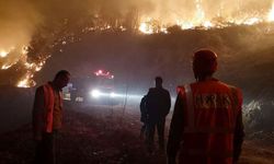 Arhavi'de Orman Yangını Çıktı