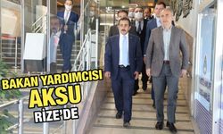 Bakan Yardımcısı Aksu'dan Başkan Metin'e Ziyaret