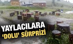 Badara Yaylası Dolu Yağışı ile Beyaza Büründü