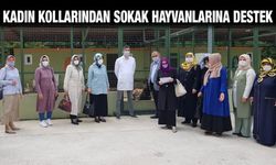 AK Parti Rize Kadın Kollarından 'Bir Kap Su Bir Kap Mama' Kampanyası