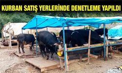 Kurban Pazarlarında Sıkı Denetimler Sürüyor