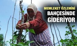 Rize Özlemini İstanbul'daki Bahçesinde Gideriyor