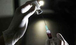Pandemiden Çıkışın Umudu Kovid-19 Aşısı İçin Çalışmalar Sürüyor
