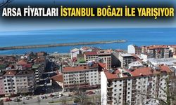Çayeli'nde Arsa Fiyatları İstanbul Boğazı ile Yarışıyor