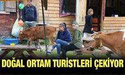 Galer Düzü'ndeki Doğal Ortam Turistlerin İlgisi Çekiyor