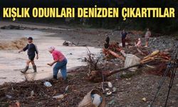 Selin Denize Sürüklediği Odunları Topladılar