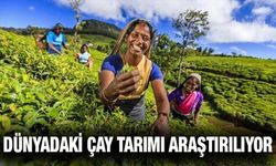 RTEÜ'de 'Sri Lanka'da Çay Endüstrisi' Konulu Eğitim Düzenlendi