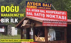 Ayder Balı, Arıcılık Müzesi ile Tanıtılacak