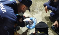 Rize'de 'Balık Boyu' Denetimleri Yapıldı