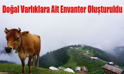 Karadeniz'in Doğal Güzellikleri Kayıt Altına Alındı