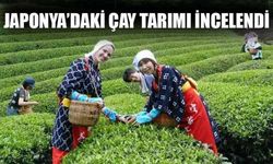 RTEÜ'de 'Japonya'da Çay Tarımı' Konulu Eğitim Düzenlendi
