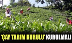 Sarıbal: Derhal Bir Çay Tarım Kurulu Kurulmalı
