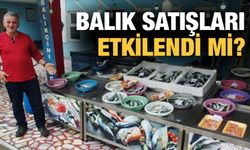 Koronavirüsün Balık Satışlarına Etkisi