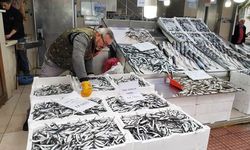 Karadenizli Balıkçıların Gözdesi Yine 'Hamsi' Oldu