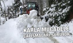 Rize'de Kar Yağışı Nedeniyle 43 Köy Yolu Ulaşıma Kapandı