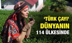 Türk Çayı En Çok Avrupa'da Tüketiliyor