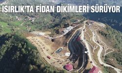 Isırlık Tabiat Parkı'na Dikilen Fidan Sayısı 20 Bini Aştı