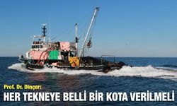 Karadeniz'de Hamsi Avına 'Kota' Önerisi