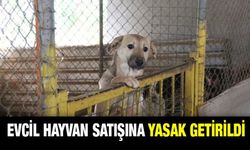 İkizdere'de Evcil Hayvan Satışı Yasaklandı