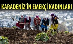 Karadeniz'in Çalışkan Kadınları Tempo Düşürmüyor