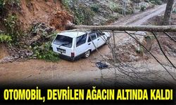 Heyelanda Devrilen Ağaç Otomobilin Üzerine Düştü