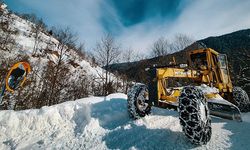 Rize ve Artvin'de Bazı Köylere Kar Nedeniyle Ulaşım Sağlanamıyor