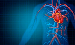 Kalp Krizi, Ani Ölüme Yol Açabilir