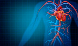Kalp Hastalıklarının Risk Faktörleri Nelerdir?