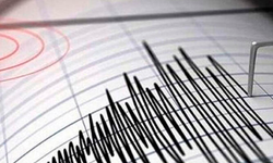 Elazığ'da 4.6'lık Deprem Oldu