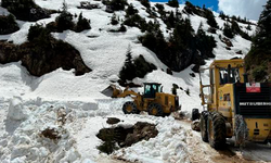 Rize’de Kardan Kapanan Yayla Yolları Ulaşıma Açılıyor