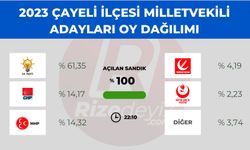 Çayeli'de Seçim Sonuçları Ne Oldu?