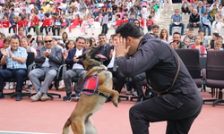 Jandarma Arama Köpekleri Öğrencilere Hünerlerini Sergiledi