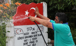 Rize'de Belediye İşçisi Şehit Mezarlarını Gönüllü Olarak Temizliyor