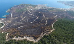 20 günde 295 orman yangını çıktı; 3 bin 160 hektar alan zarar gördü
