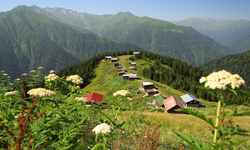 Pokut Yaylası Hakkında Bilgi