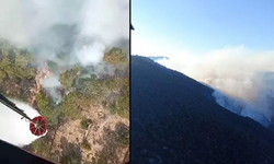 Bolu'daki Orman Yangınına Havadan Müdahale
