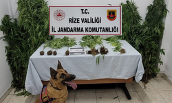 Rize'de Jandarma Ekipleri Göz Açtırmıyor