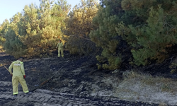 Yangında, 10 Dönüm Orman ve 5 Dönüm Tarım Arazisi Zarar Gördü